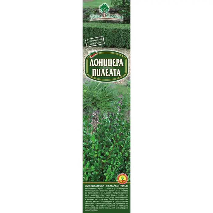 LONICERA ROOT CHICKEN EKZOTIKA - Корени<<<Външни растения<<<Градина<<<Praktiker