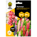 LUPINUS BEE HAPPY SEEDS - Медоносни растения<<<Семена луковици и разсад<<<Градина<<<Praktiker
