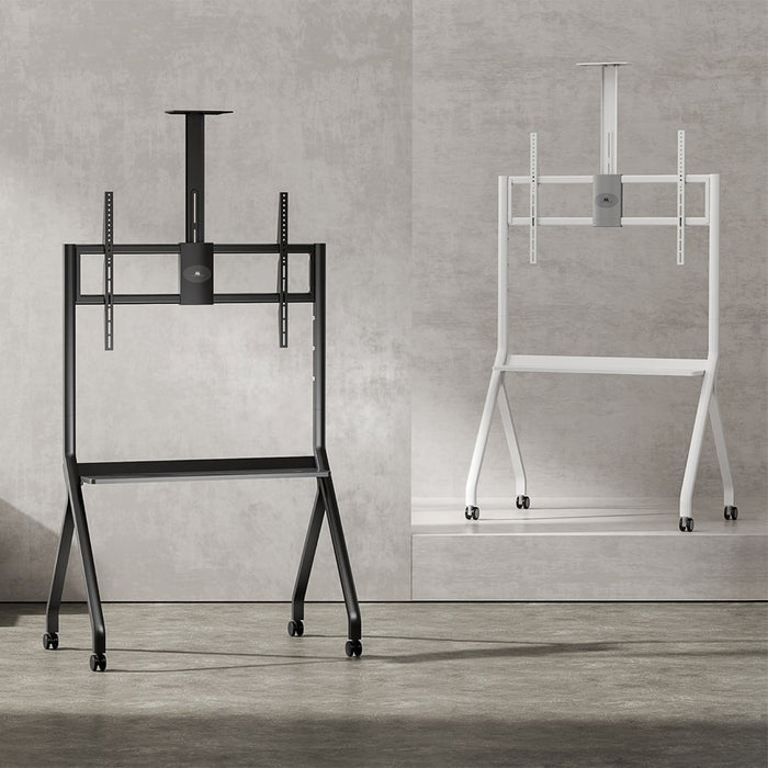 Maclean TV stand / cart, camera shelf, on casters, 55-100", max load 120kg/10kg shelf, max. VESA 900x600, white, MC-114 W
