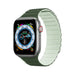 Magnetic Apple Watch SE 9 8 7 6 5 4 3 2 1 (41 40 38 mm) Dux Ducis Strap (LD Version) - green - Cell phone cases