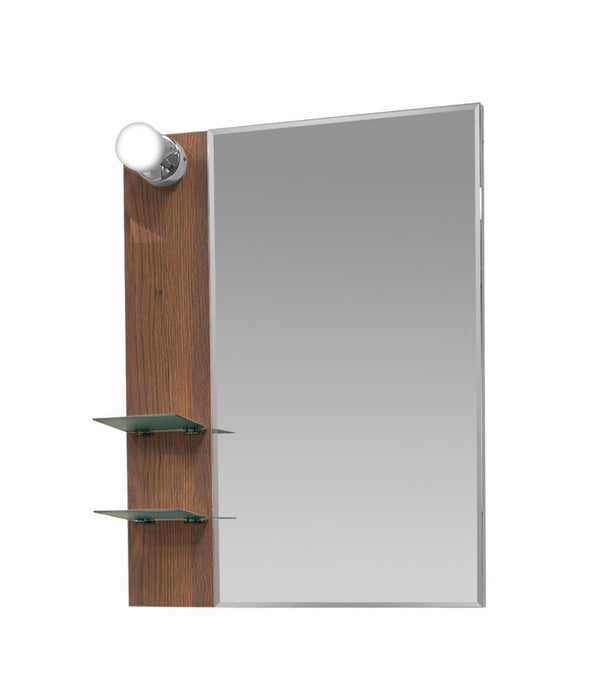 DELTA MIRROR