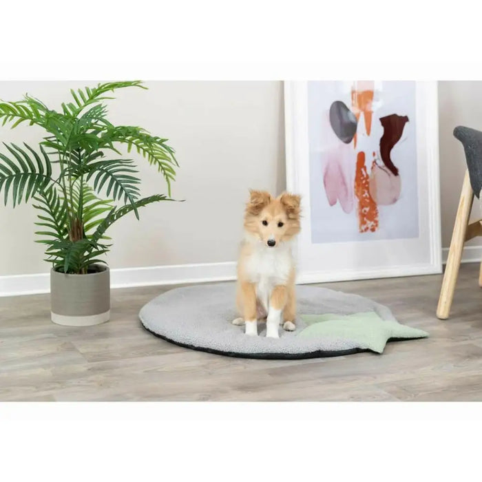 Mattress Trixie Grey Mint 86 X 80 CM - Домашни Животни<<<Дом Градина<<<BigBuy&&&Къщички и легълца<<<Домашни