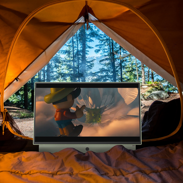 METZ Portable TV 24MPE7200Z 24" LED FHD(1920x1080) GoogleTV, HDR10, green
