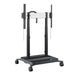 Mobile display cart with electric control - Системи за монтаж<<<Монитори и дисплеи<<<ValiAPI