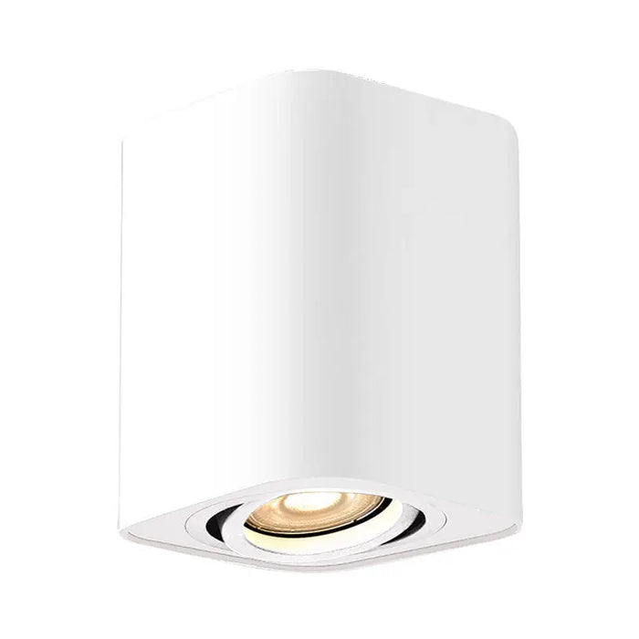 MOON FOR EXTERIOR MOUNTING GU10 WHITE MATTE RABALUX KOBALD - Луни<<<Вътрешно