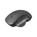 Mouse Mars Gaming MMWERGO Black - Електроника Периферни и резервни части<<<Компютри| Електроника<<<BigBuy&&&Мишки &