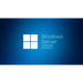 MS Windows Server CAL 2022 English 1pk DSP OEI 1 Clt Device CAL - Сървърен лиценз CAL<<<Сървърен софтуер и