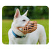 Muzzle Company of Animals Brown 10 - Домашни Животни<<<Дом Градина<<<BigBuy&&&Пътуване и разходки<<<Домашни