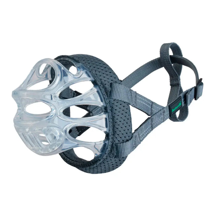 Muzzle Company of Animals Transparent 5 - Домашни Животни<<<Дом Градина<<<BigBuy&&&Пътуване и разходки<<<Домашни