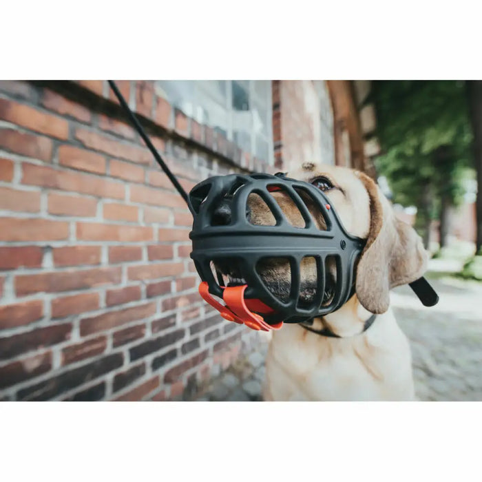 Muzzle Hunter Albury Black 2 - Домашни Животни<<<Дом Градина<<<BigBuy&&&Пътуване и разходки<<<Домашни Животни<<<Дом