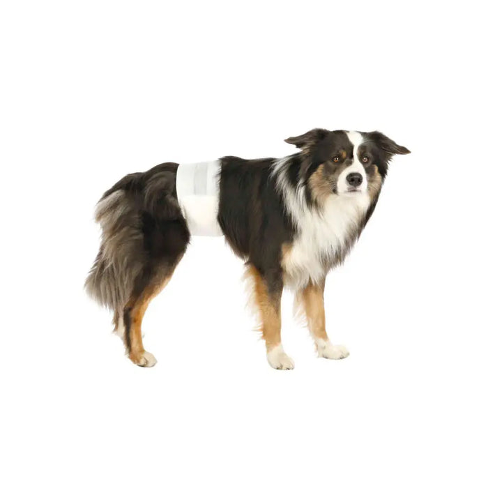 Nappies Trixie 23642 M/L 12 Units - Домашни Животни<<<Дом Градина<<<BigBuy&&&Здраве и хигиена<<<Домашни Животни<<<Дом