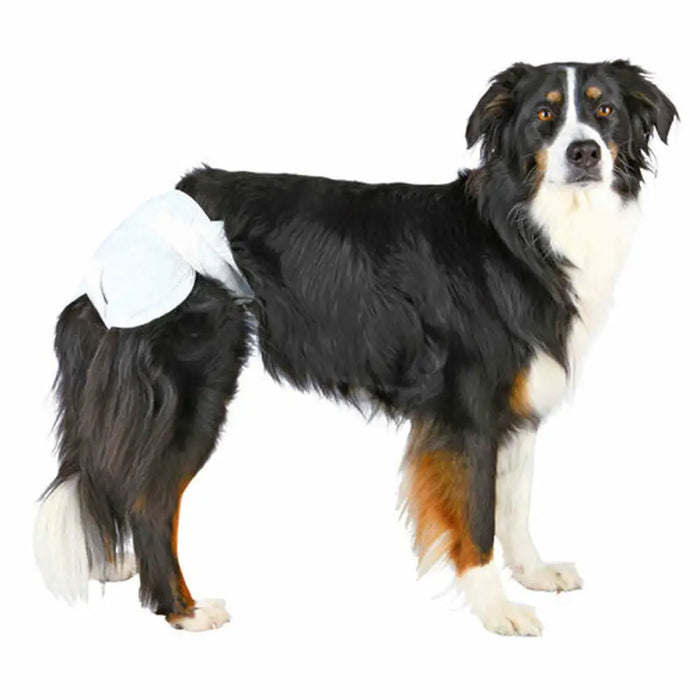 Nappies Trixie M Dog - Домашни Животни<<<Дом Градина<<<BigBuy&&&Здраве и хигиена<<<Домашни Животни<<<Дом