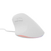 Natec Vertical Mouse Crake 2 Pro 12800DPI Optical White - Мишки<<<NATEC компютърна