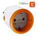NEO NAS-WR10BH Smart Plug HomeKit 16A ZigBeeTUYA - Power plugs<<<Smart Plug<<<Actuators<<<Smart Home<<<InnproXML