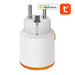 NEO NAS-WR10BH Smart Plug HomeKit 16A ZigBeeTUYA - Power plugs<<<Smart Plug<<<Actuators<<<Smart Home<<<InnproXML