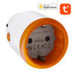 NEO NAS-WR10BH Smart Plug HomeKit 16A ZigBeeTUYA - Power plugs<<<Smart Plug<<<Actuators<<<Smart Home<<<InnproXML