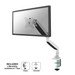 Neomounts Flat Screen Desk mount (10-32’’) desk clamp/grommet - Стойки за бюро<<<NEOMOUNTS BY NEWSTAR