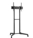 Neomounts Mobile Floor Stand (height adjustable: 128.5-145 cm) - Колички и поставки за екрани на под<<<NEOMOUNTS