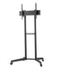 Neomounts Mobile Floor Stand (height adjustable: 128.5-145 cm) - Колички и поставки за екрани на под<<<NEOMOUNTS