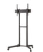 Neomounts Mobile Floor Stand (height adjustable: 128.5-145 cm) - Колички и поставки за екрани на под<<<NEOMOUNTS