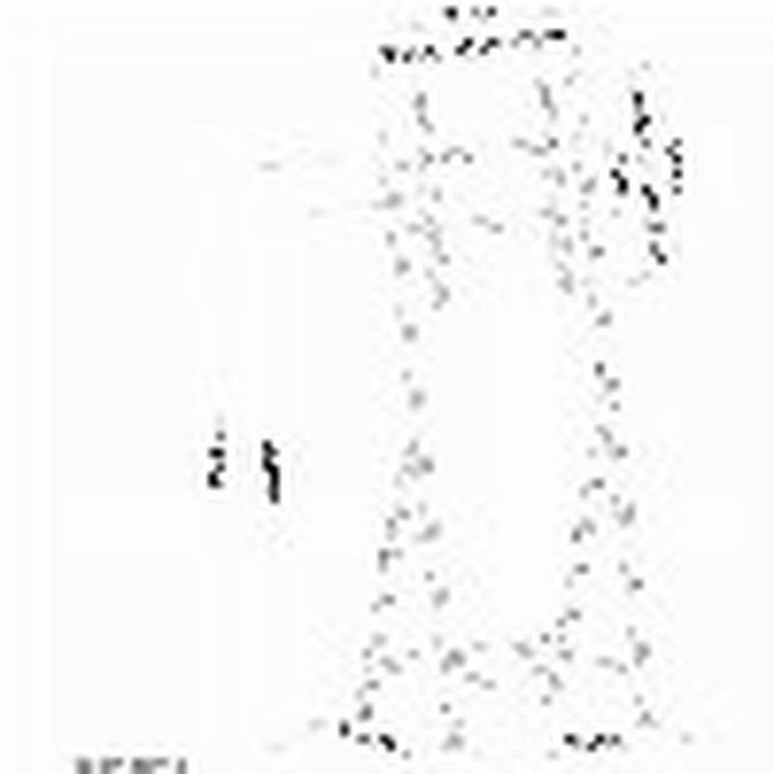 TV Mount Neomounts PLASMA-M1000 32" 55" 35 kg