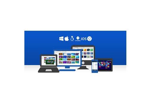 Software Netsupport Manager V.12.5 - for remote access and management of computers - package of 50 pcs. the license