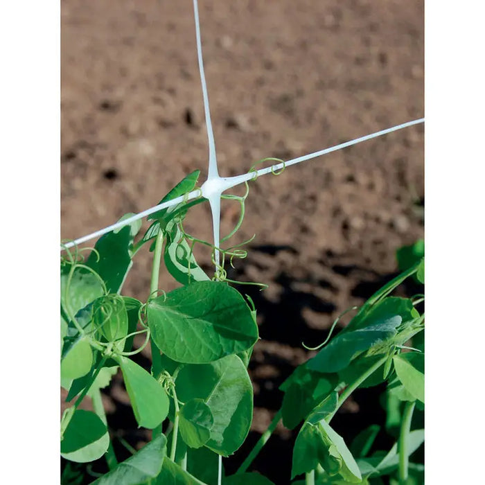 NETTING FOR WRAPING PLANTS 200CM TENAX HORTONOVA - Мрежи и покривала на метър<<<Мрежи и огради<<<Градина<<<Praktiker