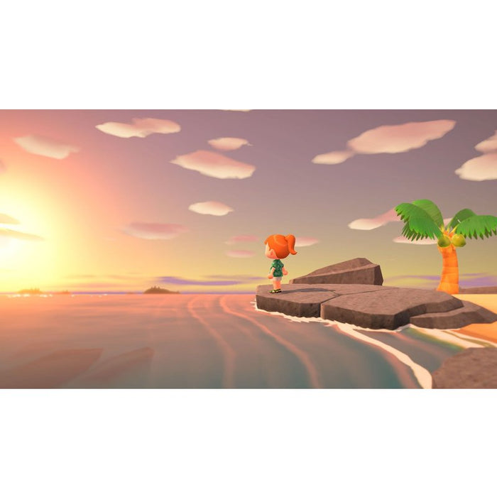 Animal Crossing: New Horizons Game (NSW)
