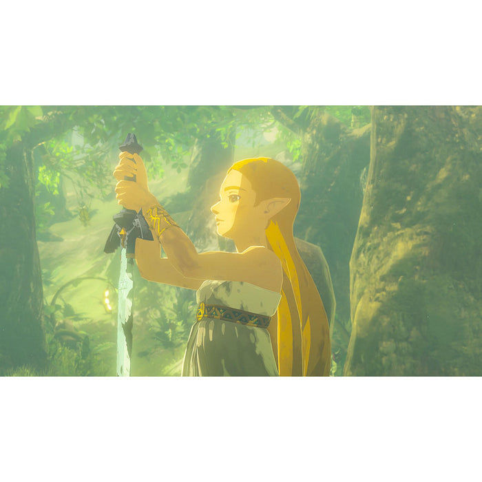 Game The Legend of Zelda: Breath of the Wild (NSW2)