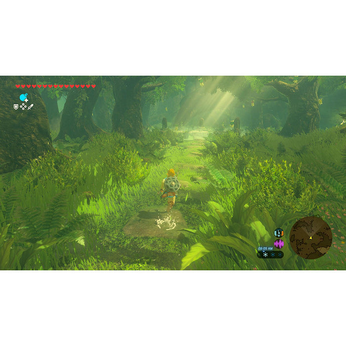 Game The Legend of Zelda: Breath of the Wild (NSW2)