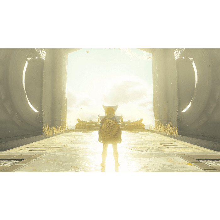 The Legend of Zelda: Tears of the Kingdom Game (NSW)