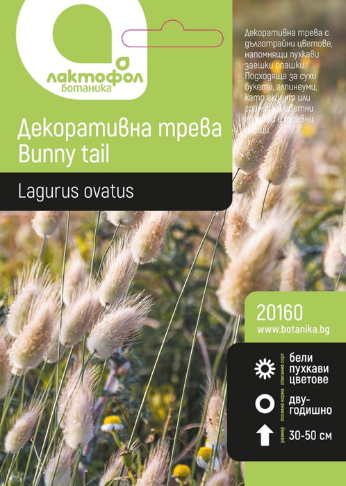 DECORATIVE GRASS LACTOFOL BUNNY TAIL