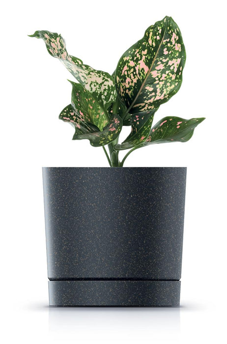POT TUBO P 11CM ANTHRACITE