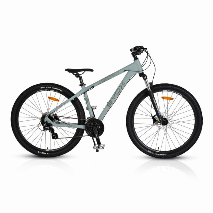 BYOX 29 24SK ALUMINUM GRAY BICYCLE