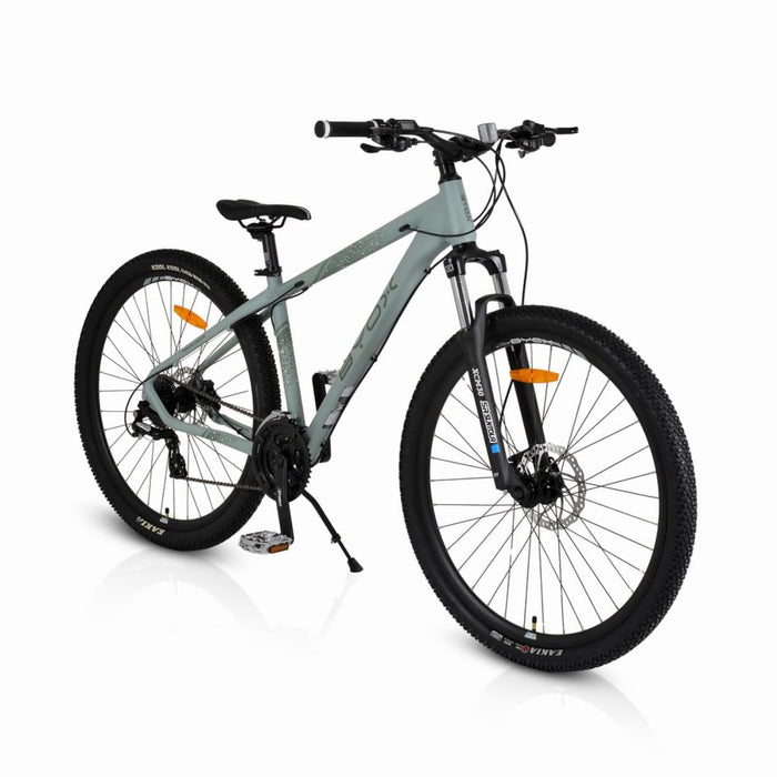 BYOX 29 24SK ALUMINUM GRAY BICYCLE