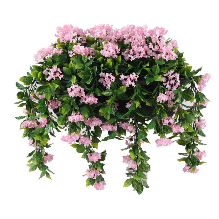 DECORATIVE PLANT INDIAN LILAC