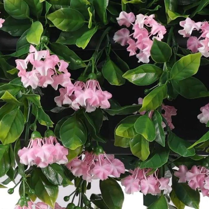DECORATIVE PLANT INDIAN LILAC