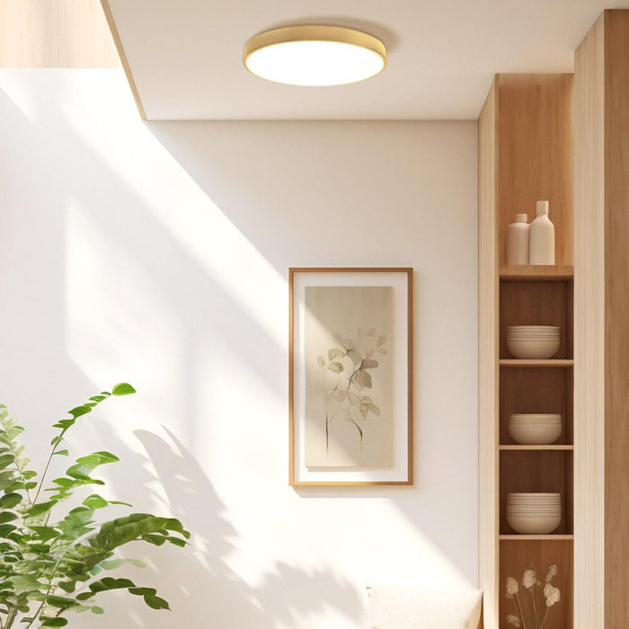 LED CEILING LAMP 45W CCT 50CM GOLD 50CM GOLD VIVALUX LUKA
