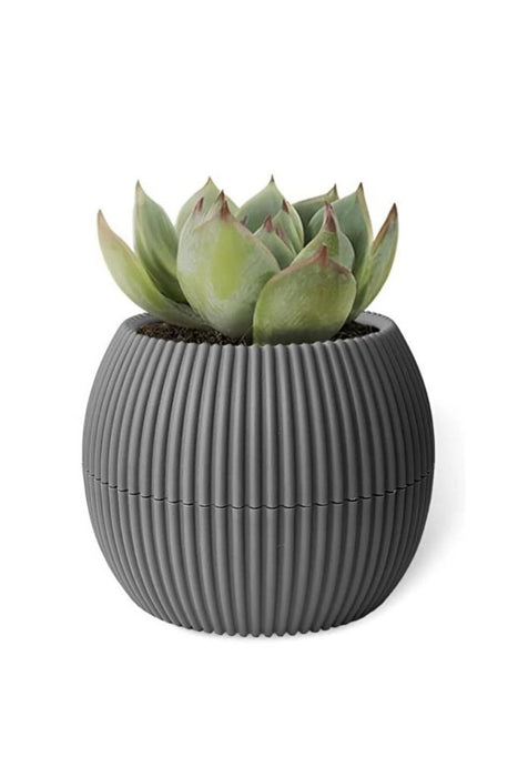 FLOWER POT CORAL PVC D9 CM ANTHRACITE