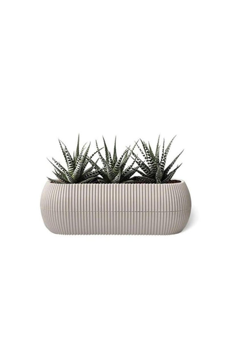 FLOWER POT CORAL PVC 21X8 CM CREAM