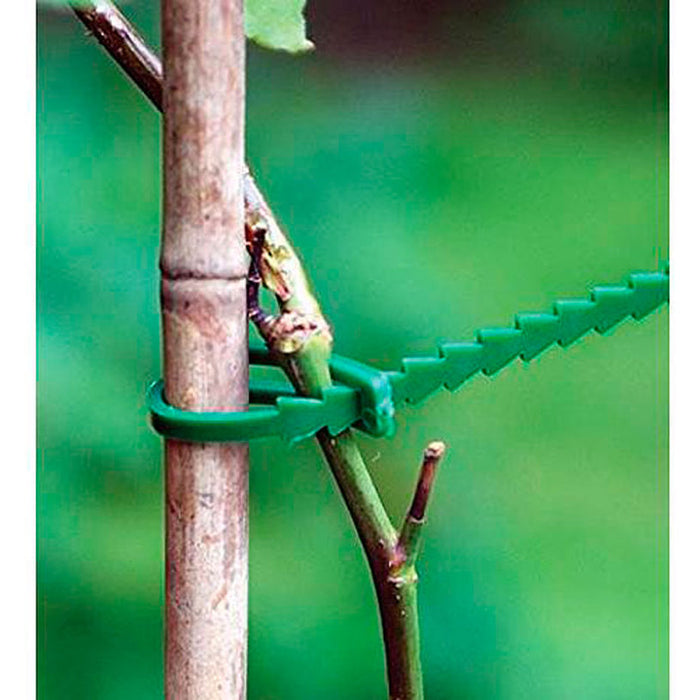 LINKS FOR PLANTS 80PCS X 170MM