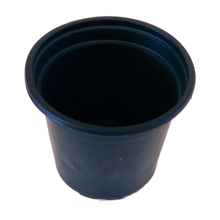 SEEDLINGS POT 8X9CM