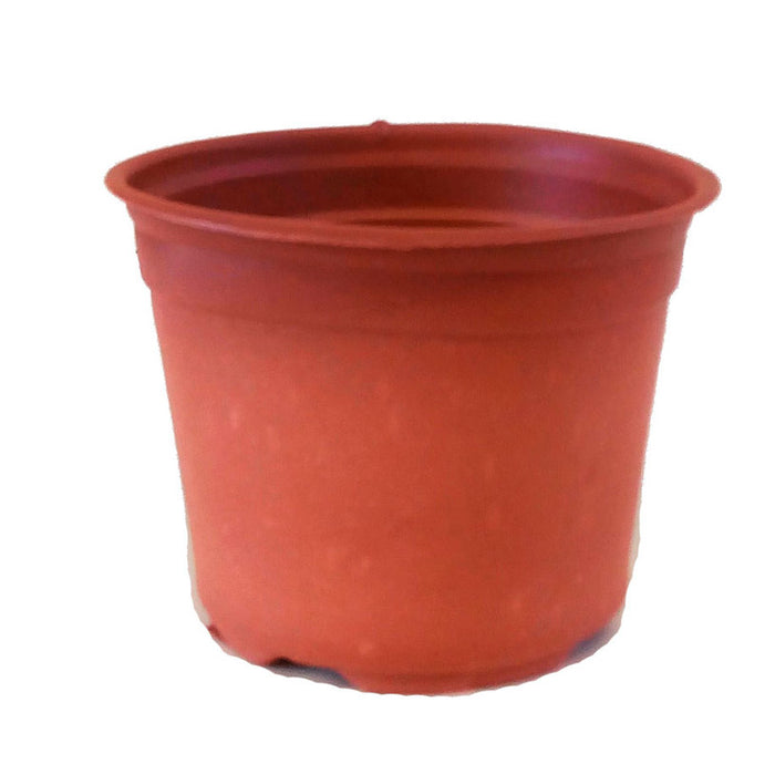 SEEDLINGS POT 9.5X12CM