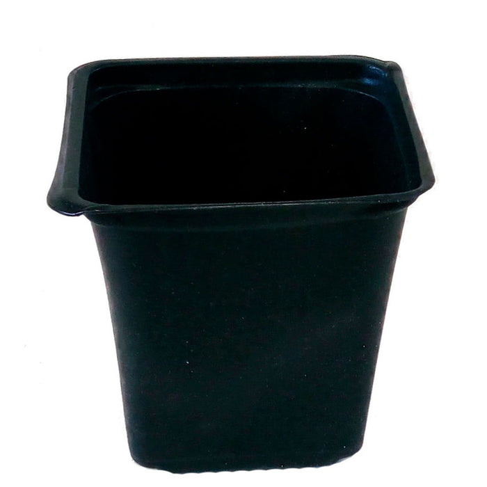 SEEDLINGS POT 8X8X8XCM
