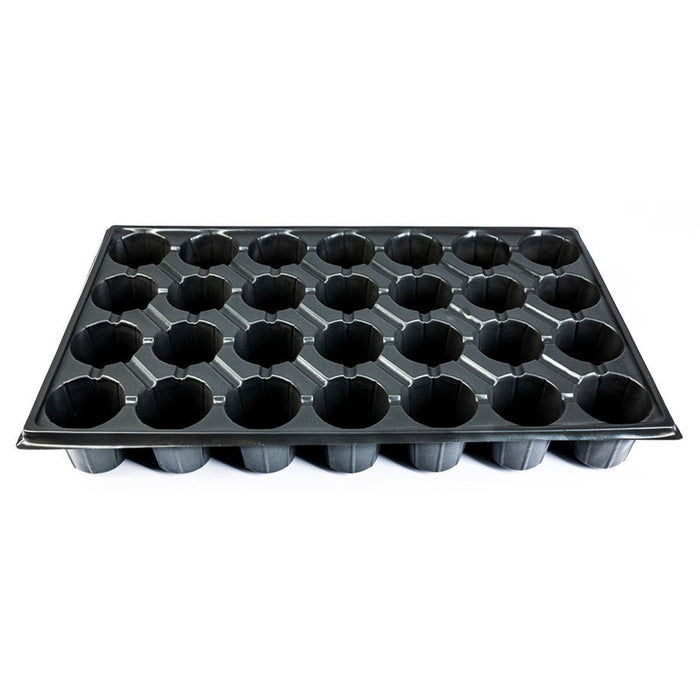SEEDLINGS FORM 28 CELLS, 32X51.5CM
