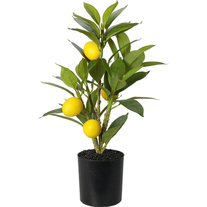 ARTIFICIAL LEMON PLANT 43CM NB1720400