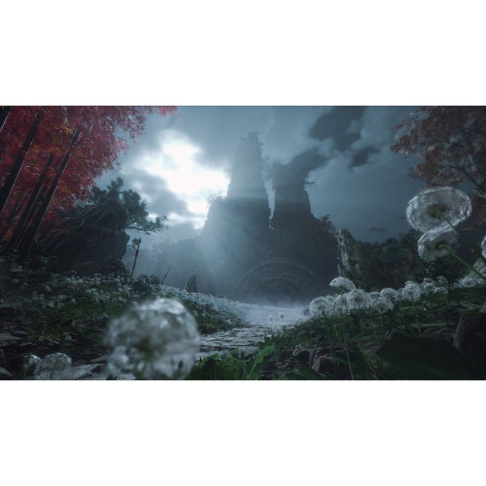 WUCHANG FALLEN FEATHERS PLAYSTATION 5 PS5 game