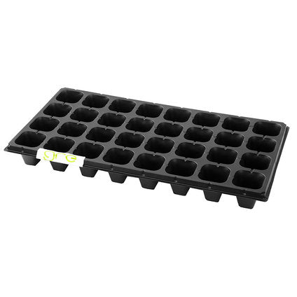 SEEDLINGS FORM 32 NESTS, 32X51.5CM