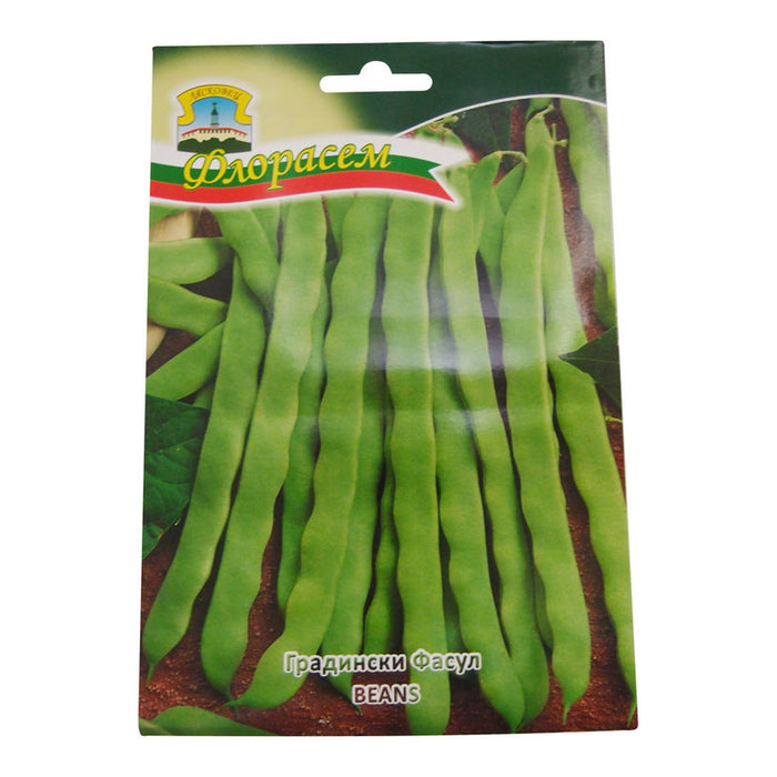 LODI BEANS SEEDS