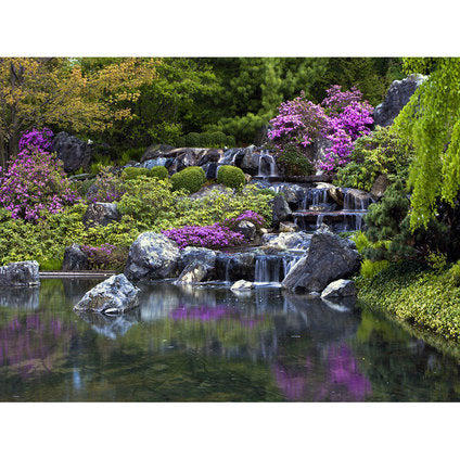 PHOTO WALLPAPER STANDARD 127X180 CM. 1Ch. LAKE